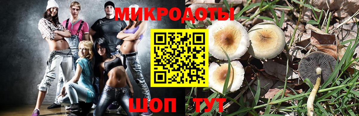 Галлюциногенные грибы MAGIC MUSHROOMS Котельники